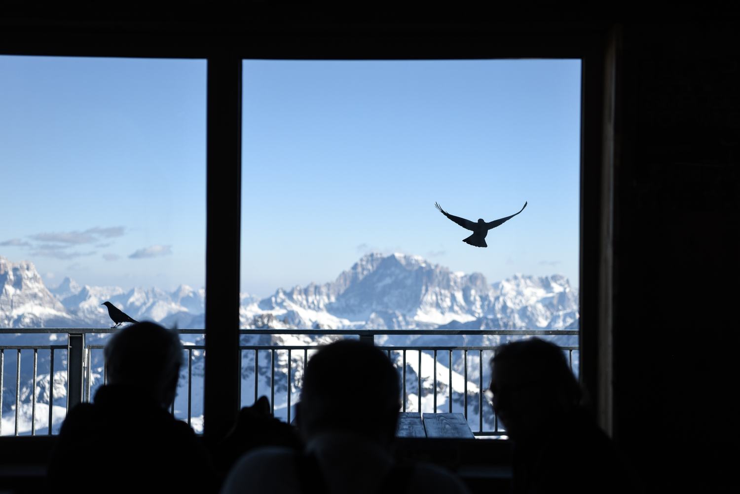 MINI Take the Alps, tour sulle Alpi